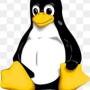 tux_065.jpg